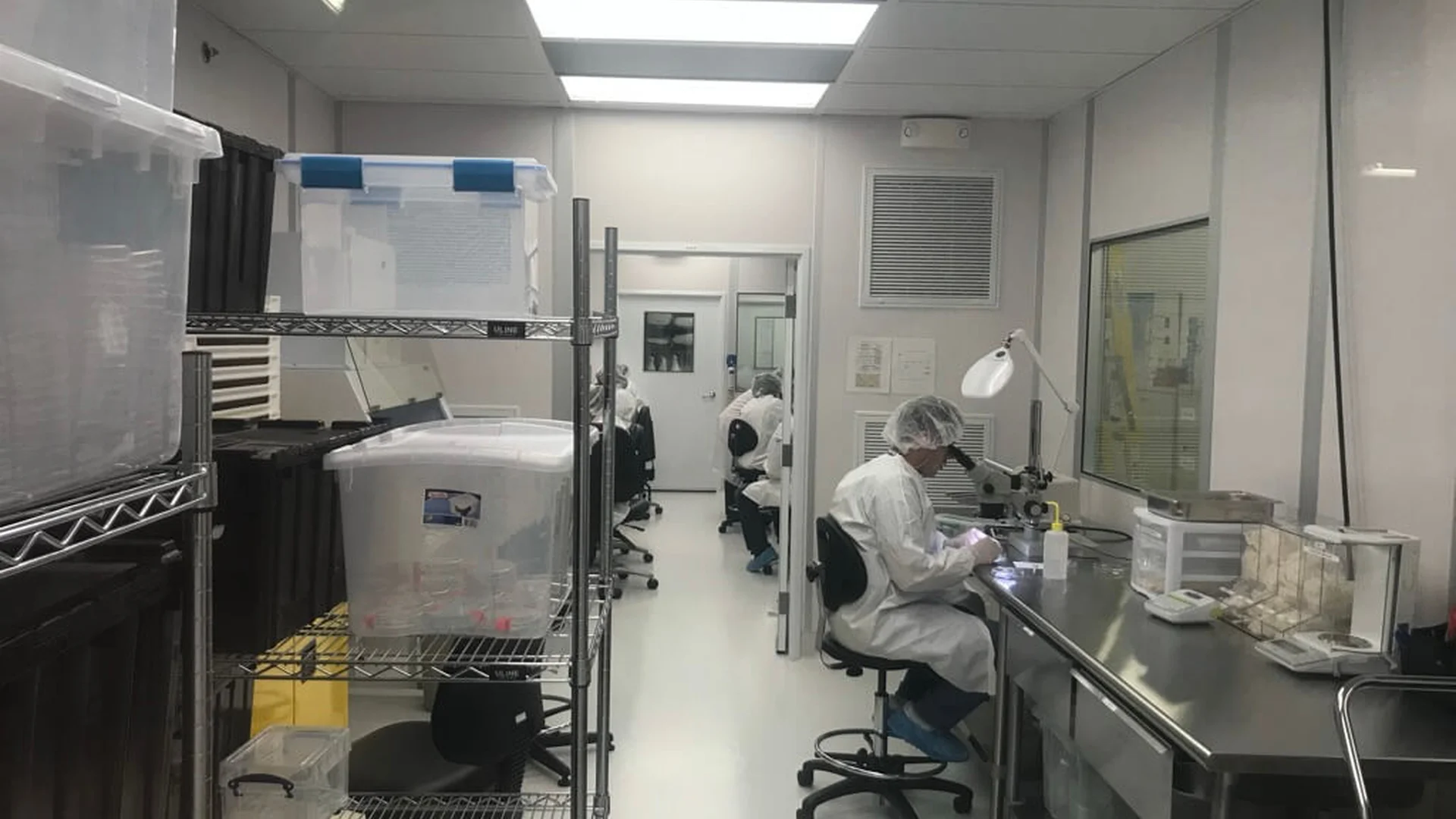 biomedical cleanroom lab technicians working